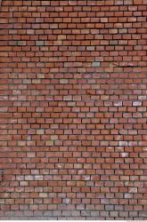 Photo Textures of Wall Brick